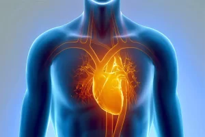 رایجترین بیماری های قلبی | سلامت قلب