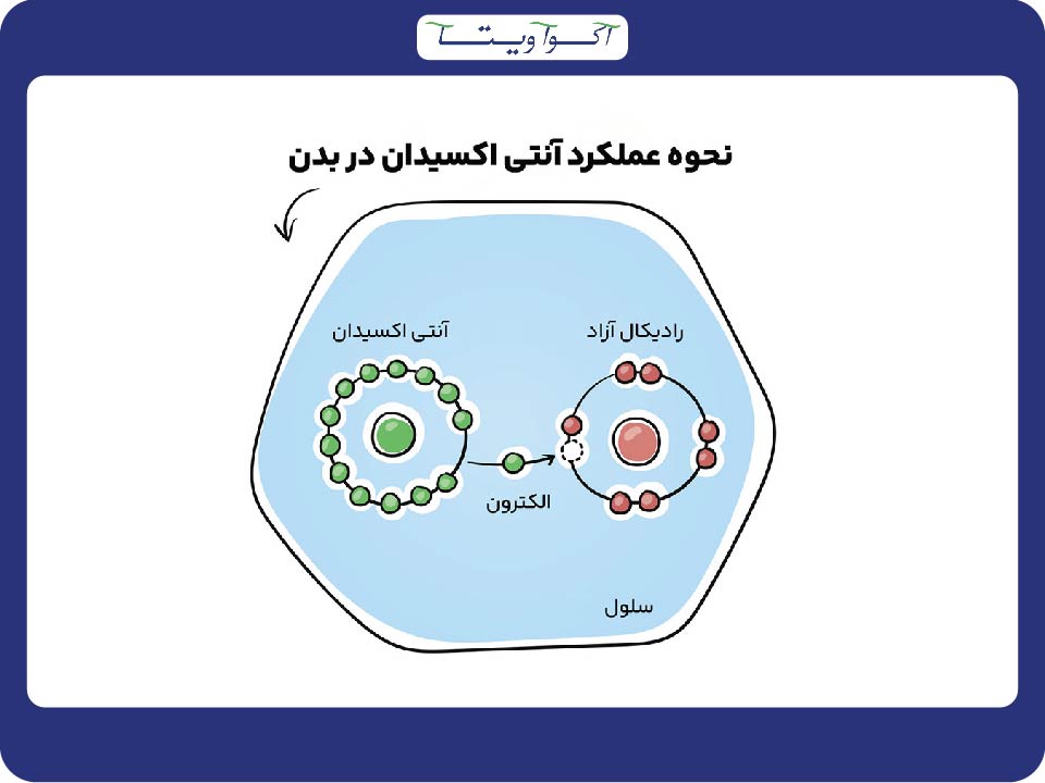 آب آنتی اکسیدان چگونه رادیکال‌ های آزاد را از بین می‌ برد؟